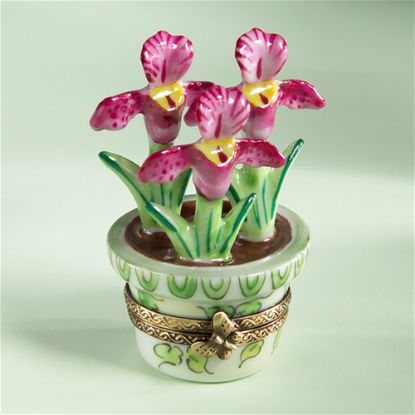 Picture of Limoges Chamart Orchids in Pot Box