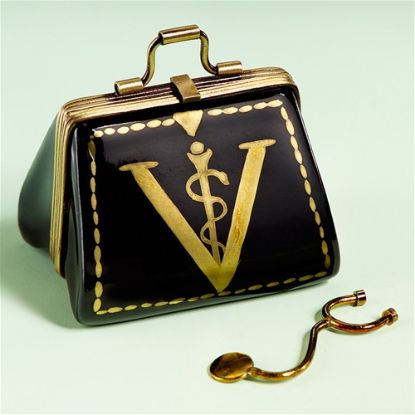 Picture of Limoges Veterinarian Bag Box