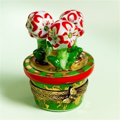 Picture of Limoges Chamart Amaryllis in Pot Box