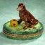 Picture of Limoges Chocolate Lab on Grass with Ball Box