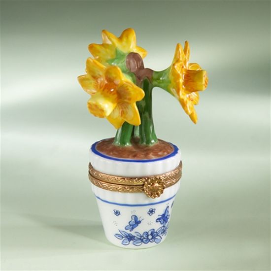 Picture of Limoges Daffodils in Pot with Butterflies Box