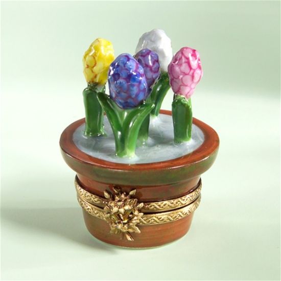 Picture of Limoges Chamart Hyacinth Flowers in Terracota Pot box