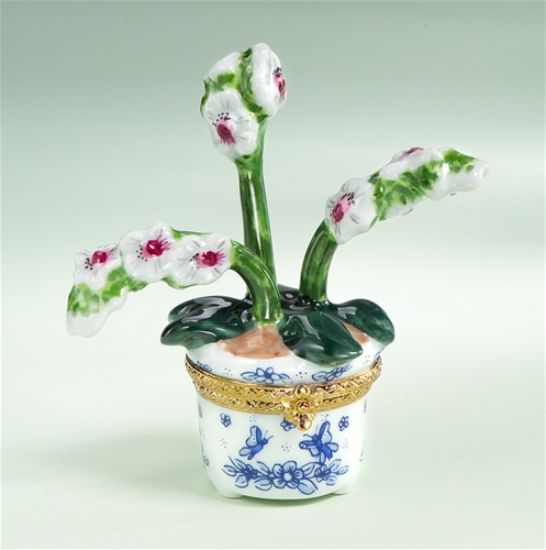Picture of Limoges Orchids in White Pot with Butterflies Box  