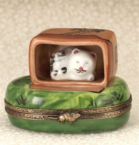 Picture of Limoges Cat in Traveling Case Box