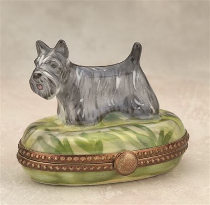 Picture of Limoges Gray Schnauzer on Grass Box