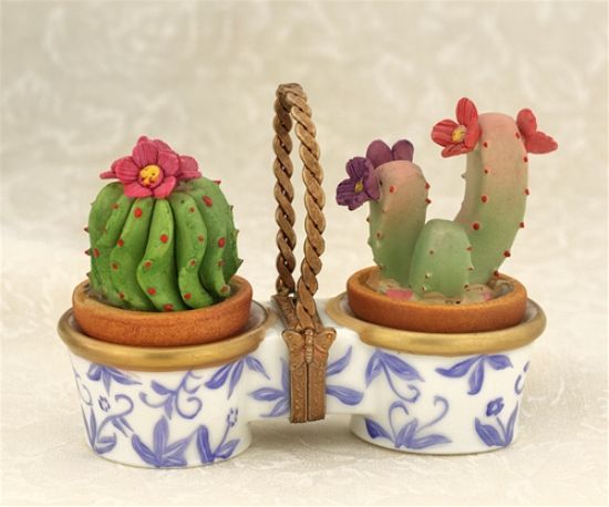Picture of Limoges Double Cactus in Pots  Box 