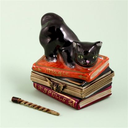 Picture of Limoges Black Cat in Books of Spells Box with Wand
