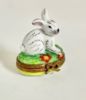 Picture of Limoges Small White Rabbit on Grass with Flowers Box