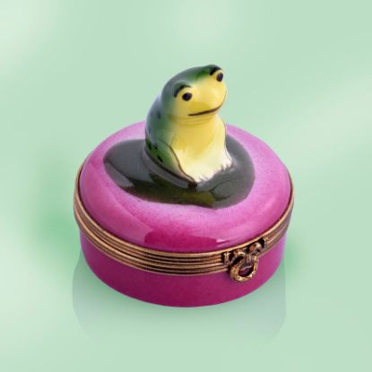 Picture of Little Frog Thinking Box