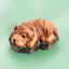 Picture of Limoges Brown Shar Pei Dog Box