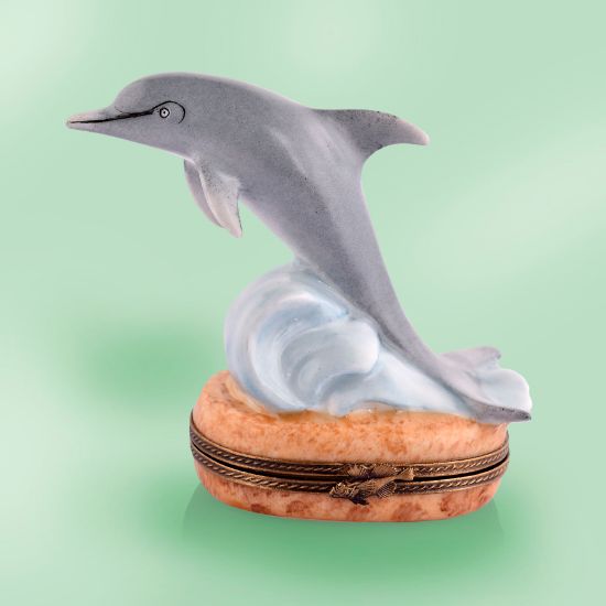 Picture of Dolphin on Wave and Sand Box