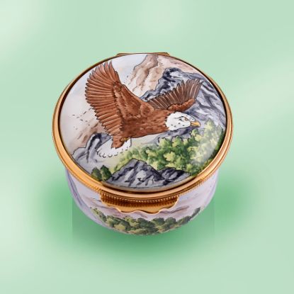 Picture of Eagle Fying Enamel
