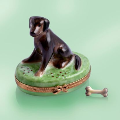 Picture of Limoges Brown Labrador on Grass Box with Bone