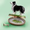 Picture of Limoges Black Border Collie on Grass Box with Loose Bone