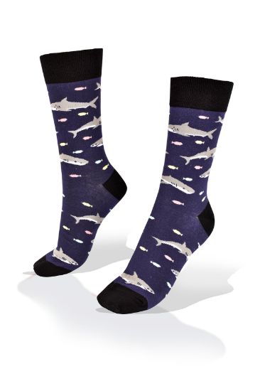 Picture of Sharks on Sea Socks