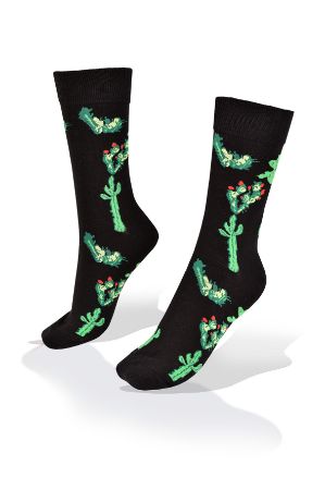 Picture for category Nature Socks