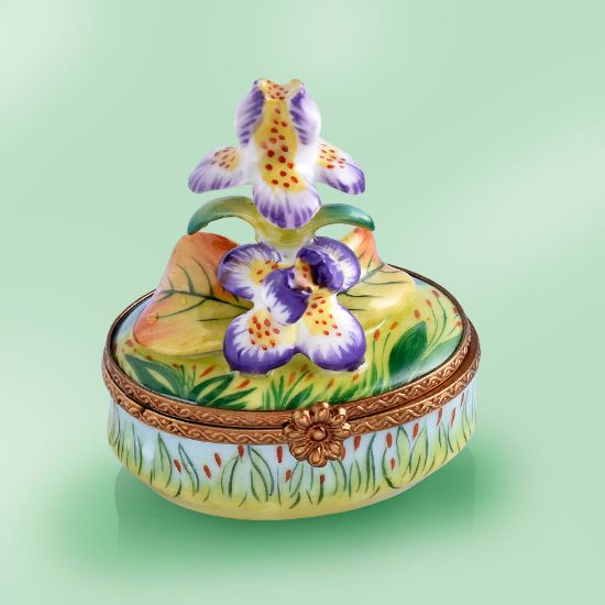 Picture of Limoges Iris on Grass Box