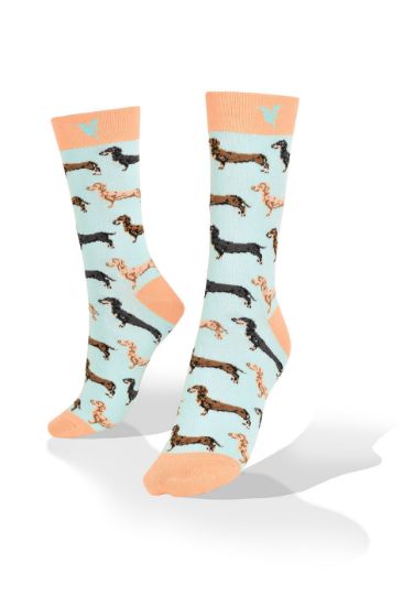 Picture of Dachshund Exclusive Design Socks