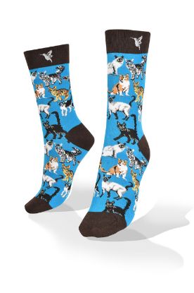 Picture of Cats Friends on Blue Exclusive Design Socks