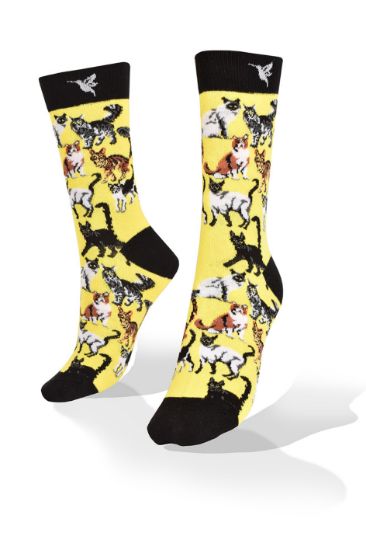 Picture of Cats Friends on Yellow Exclusive Design Socks 